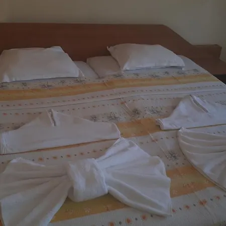Palace מלון 3*