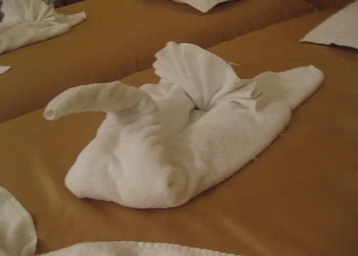 палас 3* Кранево