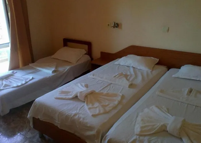 Хотел палас 3*